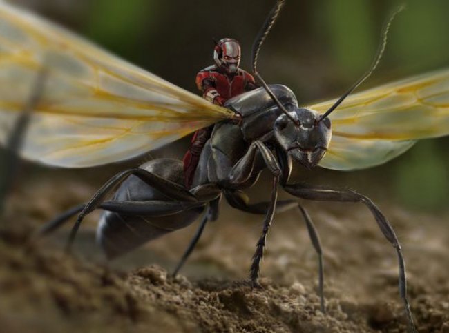 10 крутых (и забавных) фильмов о «суперменах» - Новости кино.