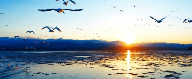 Bridge of Arts отправит победителей конкурса «Россия вдохновляет!» на европейские фестивали