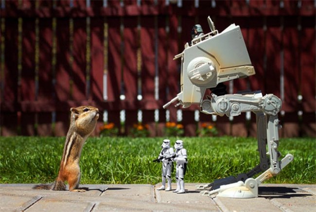 Бурундуки в “звездных войнах” - Биографии