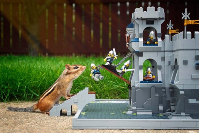 Бурундуки в “звездных войнах” - Биографии