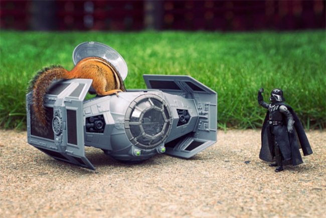 Бурундуки в “звездных войнах” - Биографии