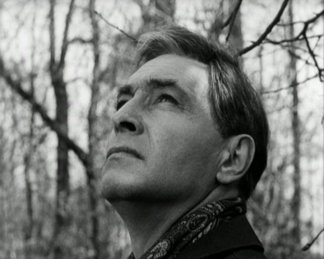 Макс Отто фон Штирлиц, штандартенфюрер СС - Биографии