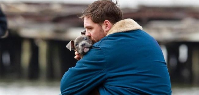 10 неизвестных фактов про Тома Харди - Новости