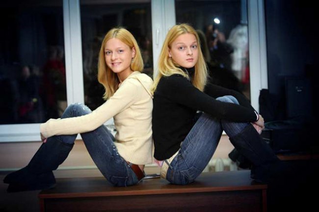 Владимир Носик - Биография