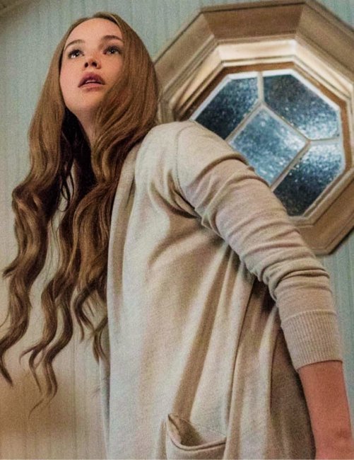 Зловещие гости