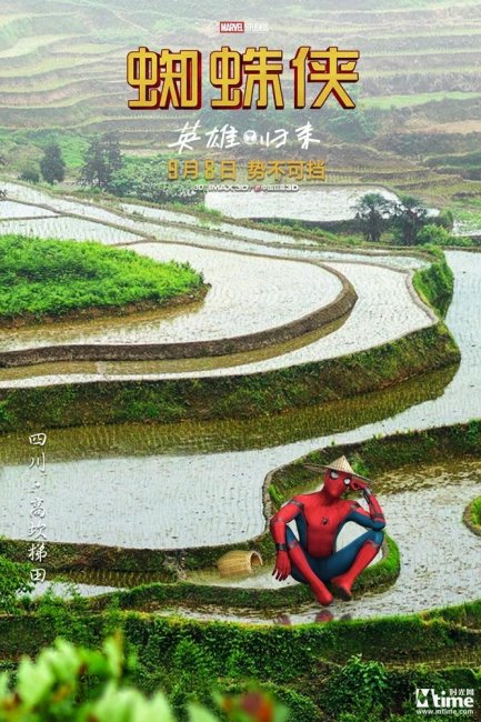 Панды Питера