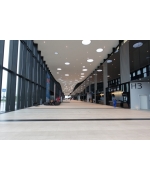 Кино Экспо 2017: Фоторепортаж с основных мероприятий