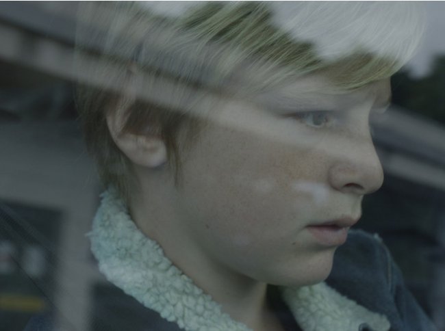 7 фильмов 74-го Венецианского кинофестиваля, которые нужно увидеть - Новости кино.