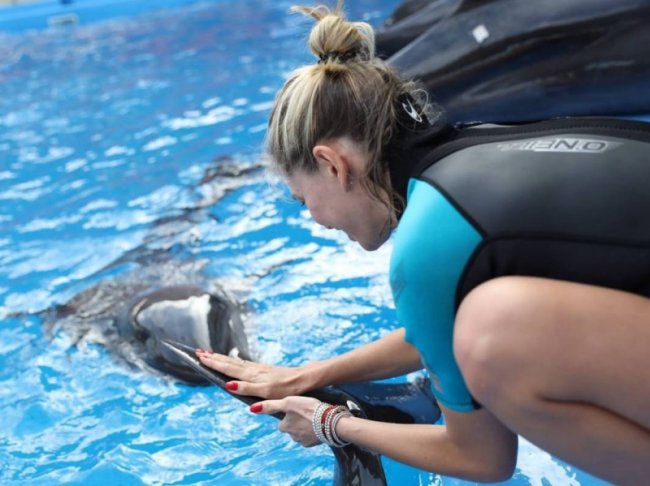 Вера Брежнева в бассейне вместе с двумя дельфинами