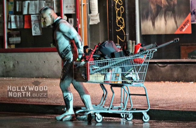 Покупки Кэйбла