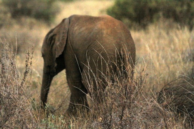 Артдокфест собрал призеров кинофестивалей в программу «От А до А»