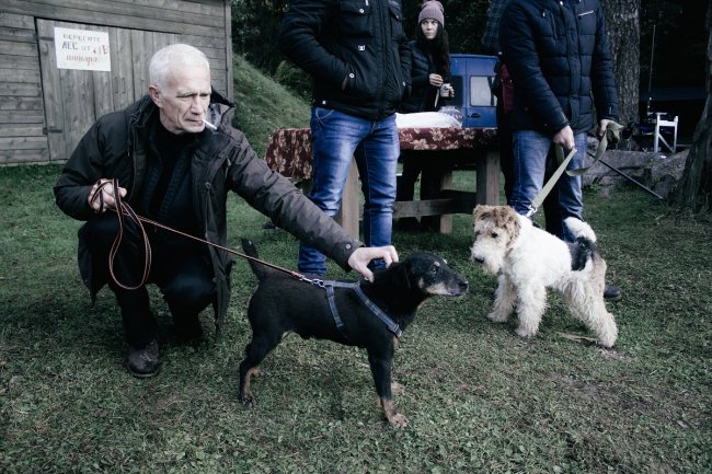 Маугли наших дней