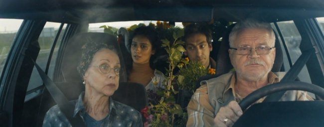 Фильм «Детки напрокат» признан лучшей семейной комедией на кинофестивале в Туле