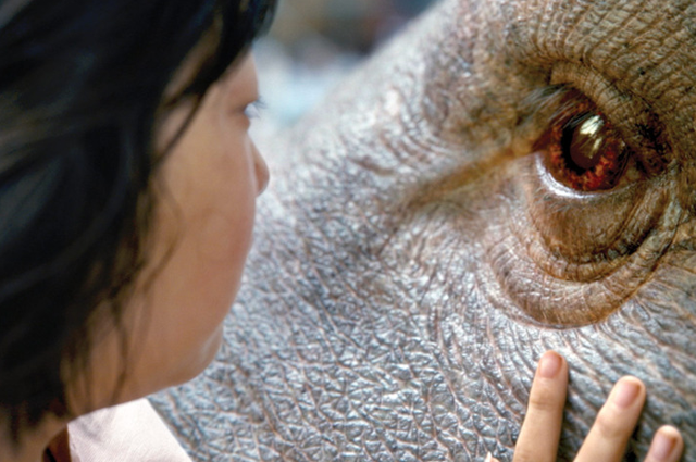 The World Animation & VFX Summit 2017: Беседы у костра и поросенок Окча