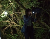 Фильм "Ведьма из Блэр" может превратиться в сериал