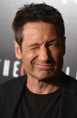 Снова вместе, снова рядом: «Секретные материалы» вернутся быстрее, чем мы думали - Новости кино.