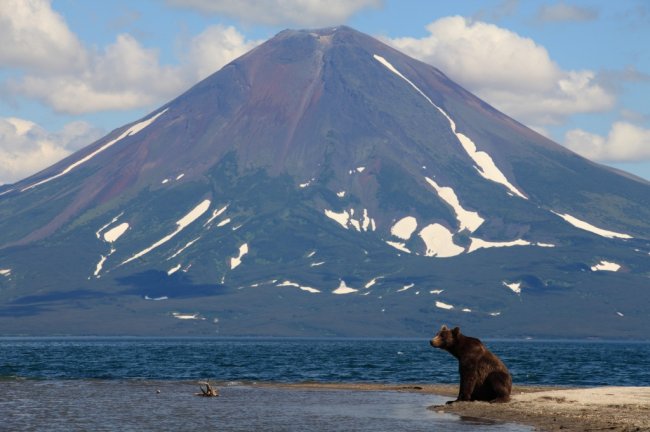 «Неделя российского кино» подарит поездку в Pinewood автору лучшего фильма об экологии