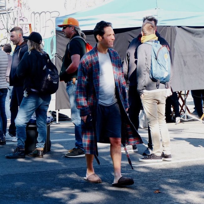 Тапочки Лэнга