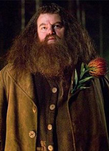 Скончался исполнитель роли Хагрида в фильмах "поттерианы" Робби Колтрейн - «Новости кино»